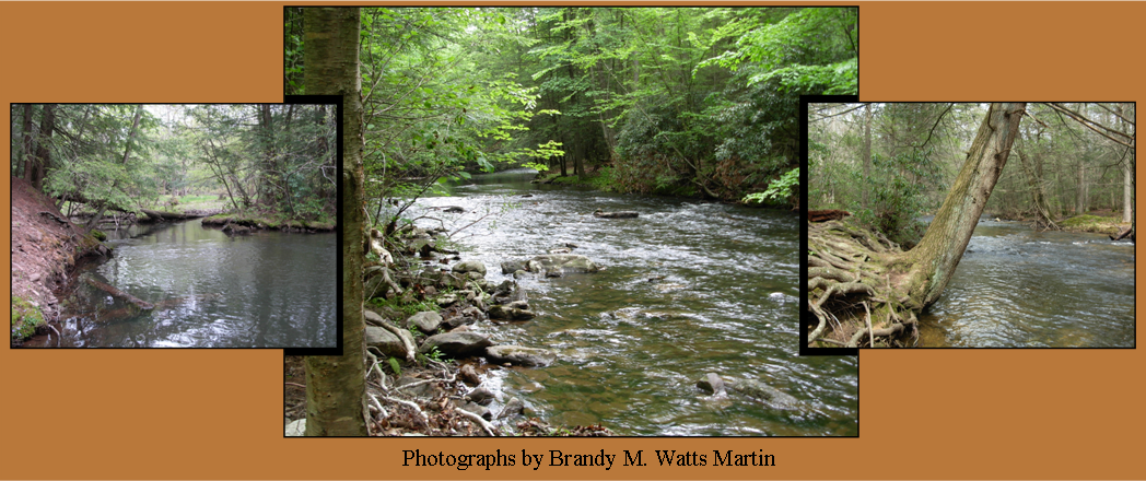 Stony Creek Wild & Scenic River